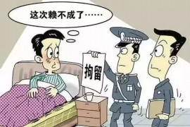 五莲专业讨债公司有哪些核心服务？